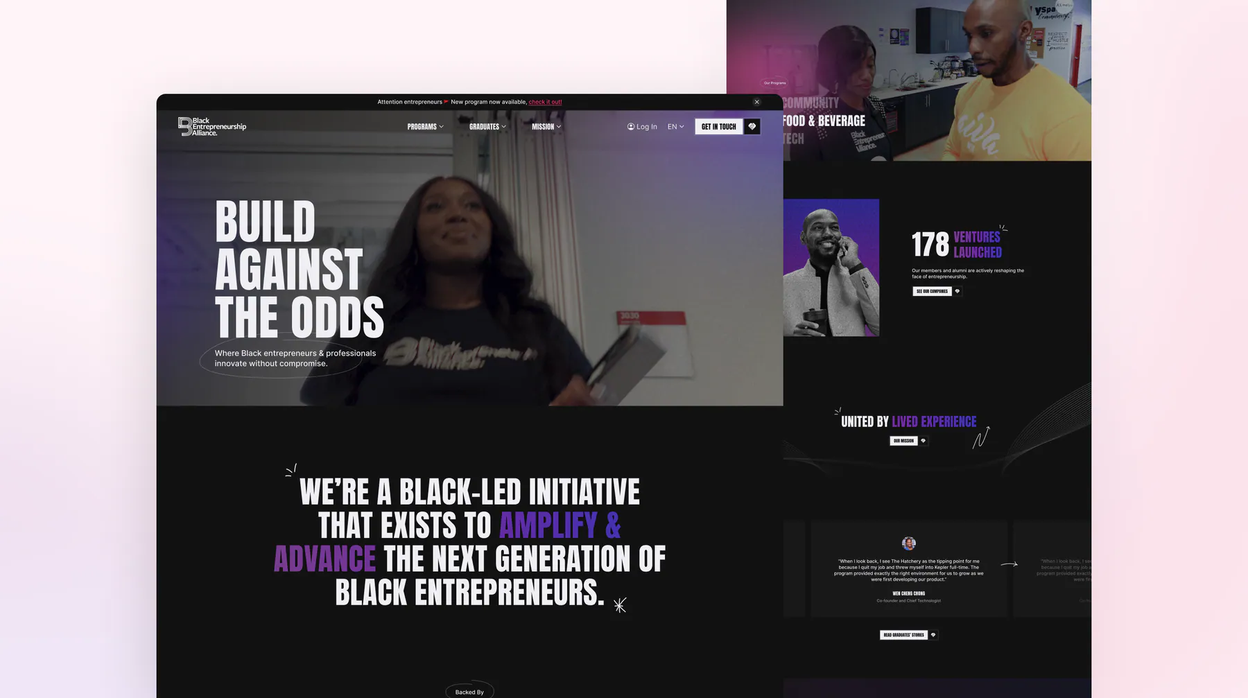 Black Entrepreneurship Alliance website by Aully