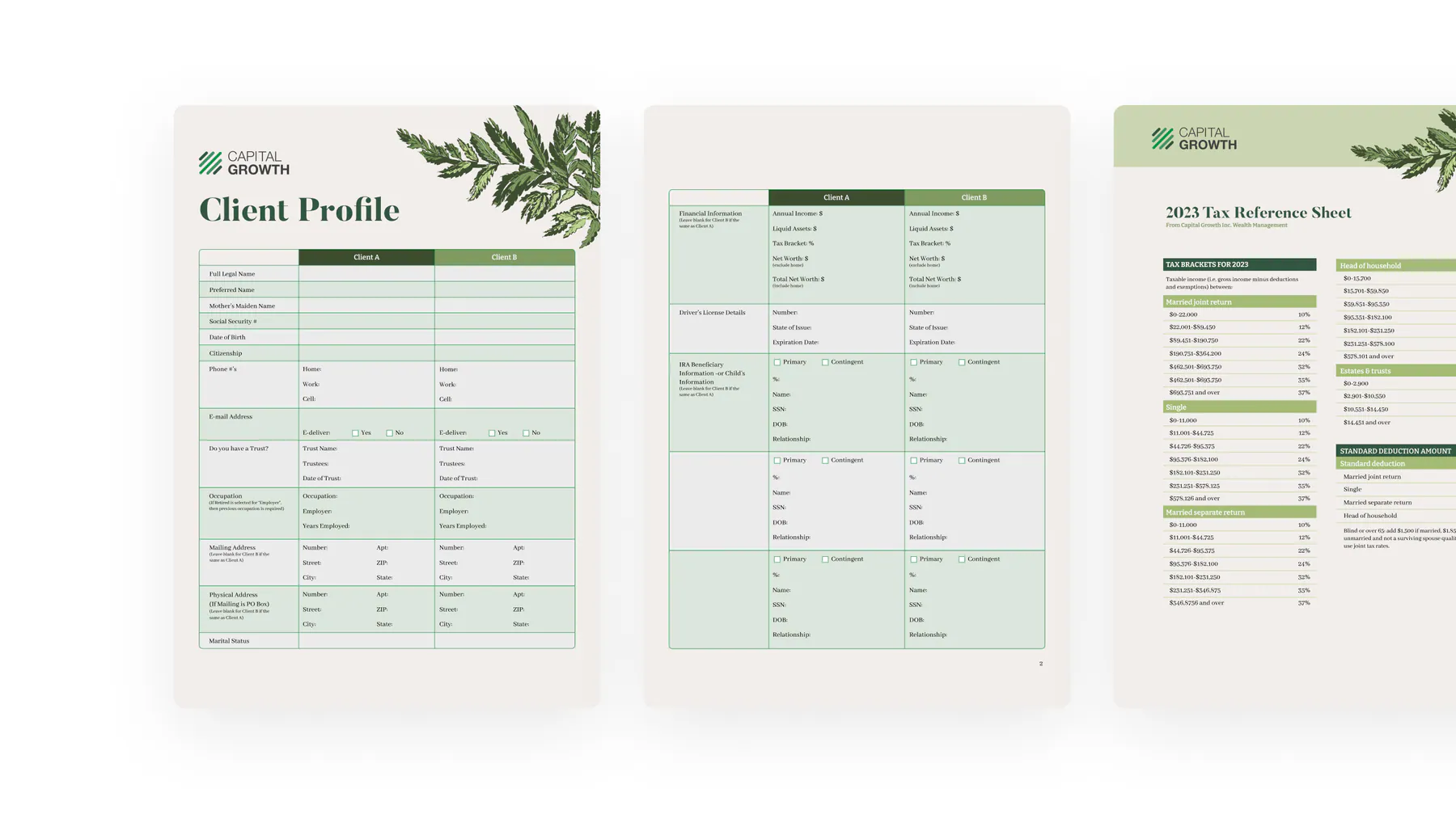Capital Growth website by Aully