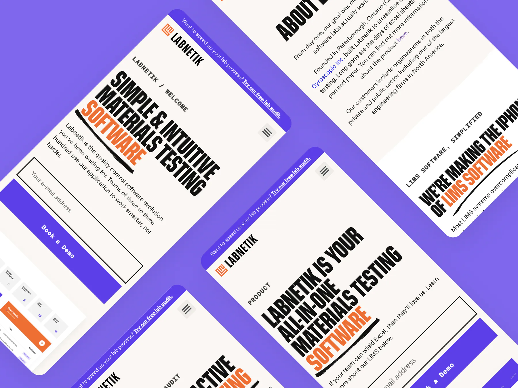 Labnetik website by Aully